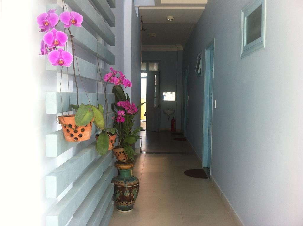 Areca Homestay Хойан Экстерьер фото