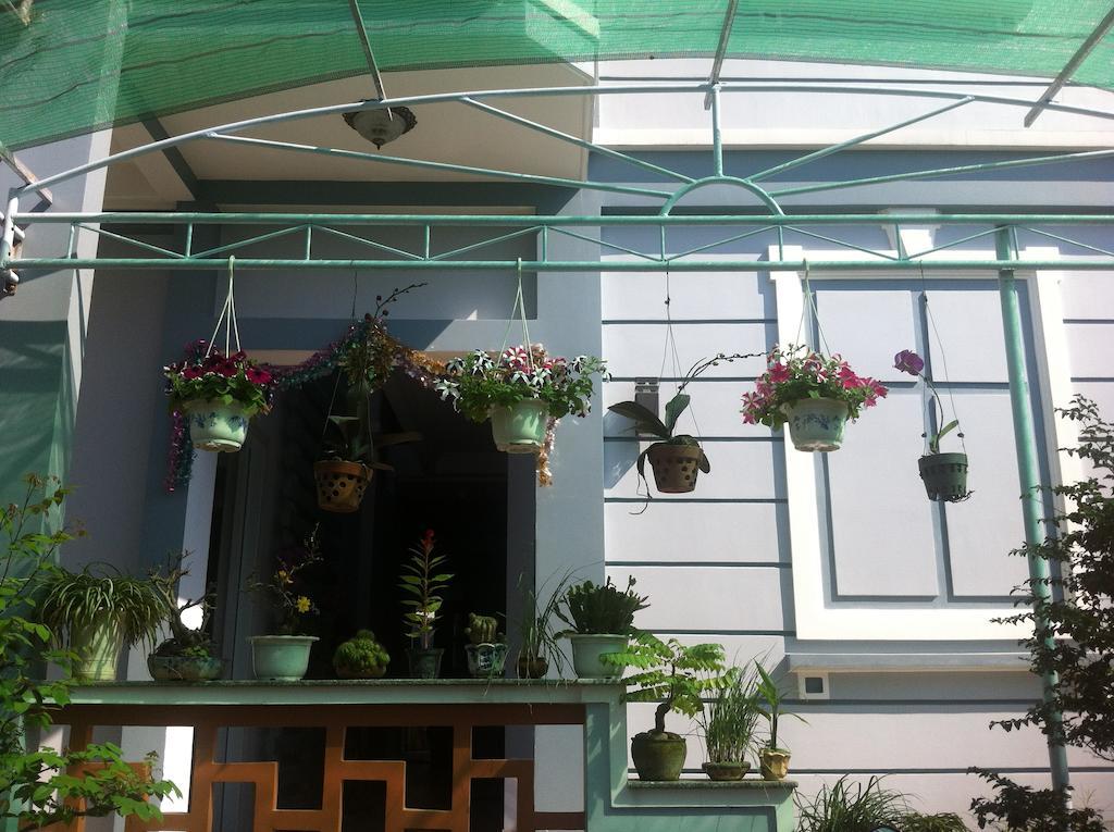 Areca Homestay Хойан Экстерьер фото