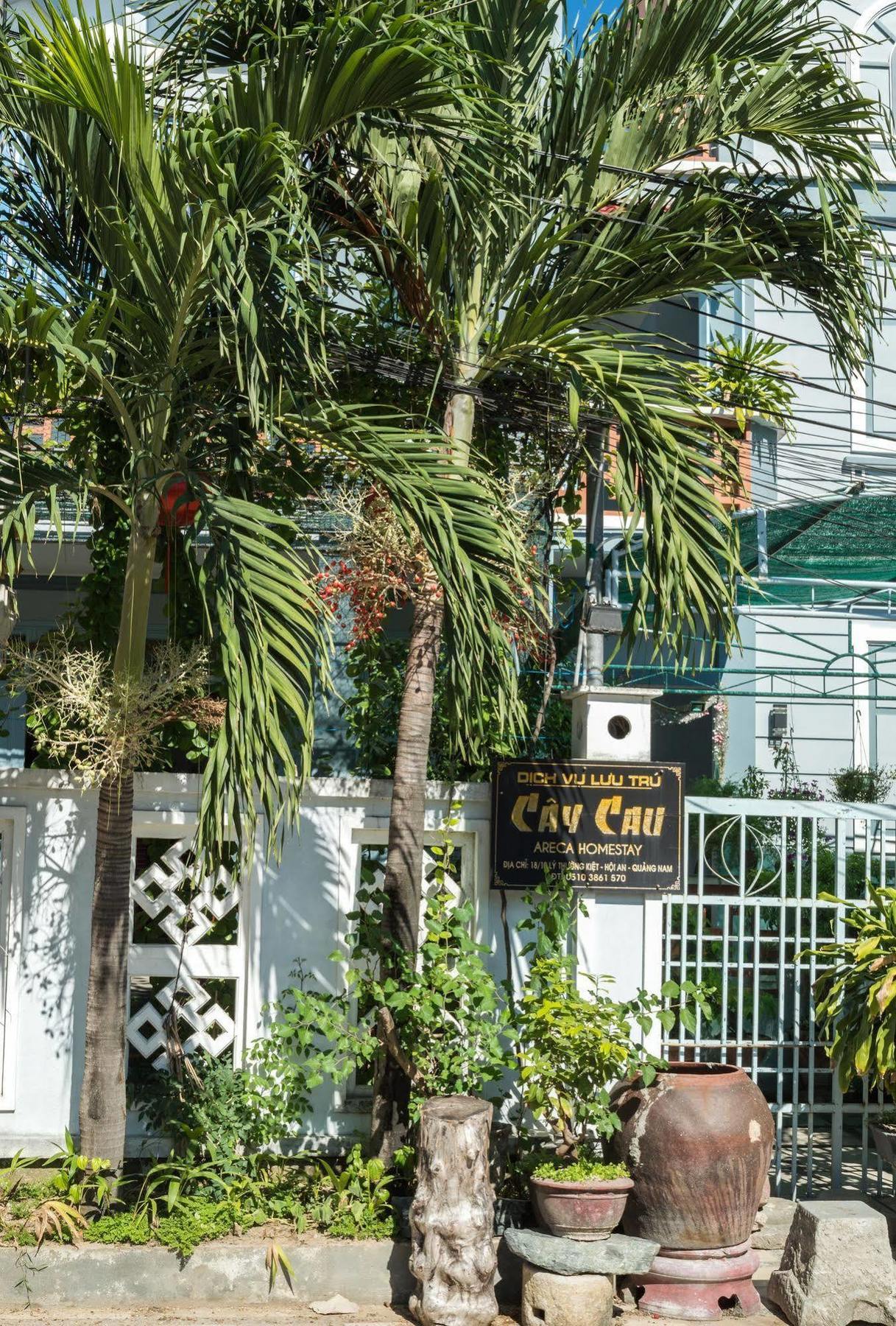 Areca Homestay Хойан Экстерьер фото