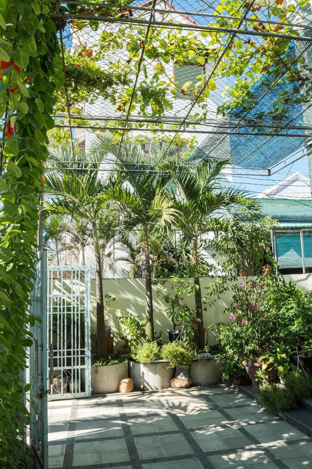 Areca Homestay Хойан Экстерьер фото